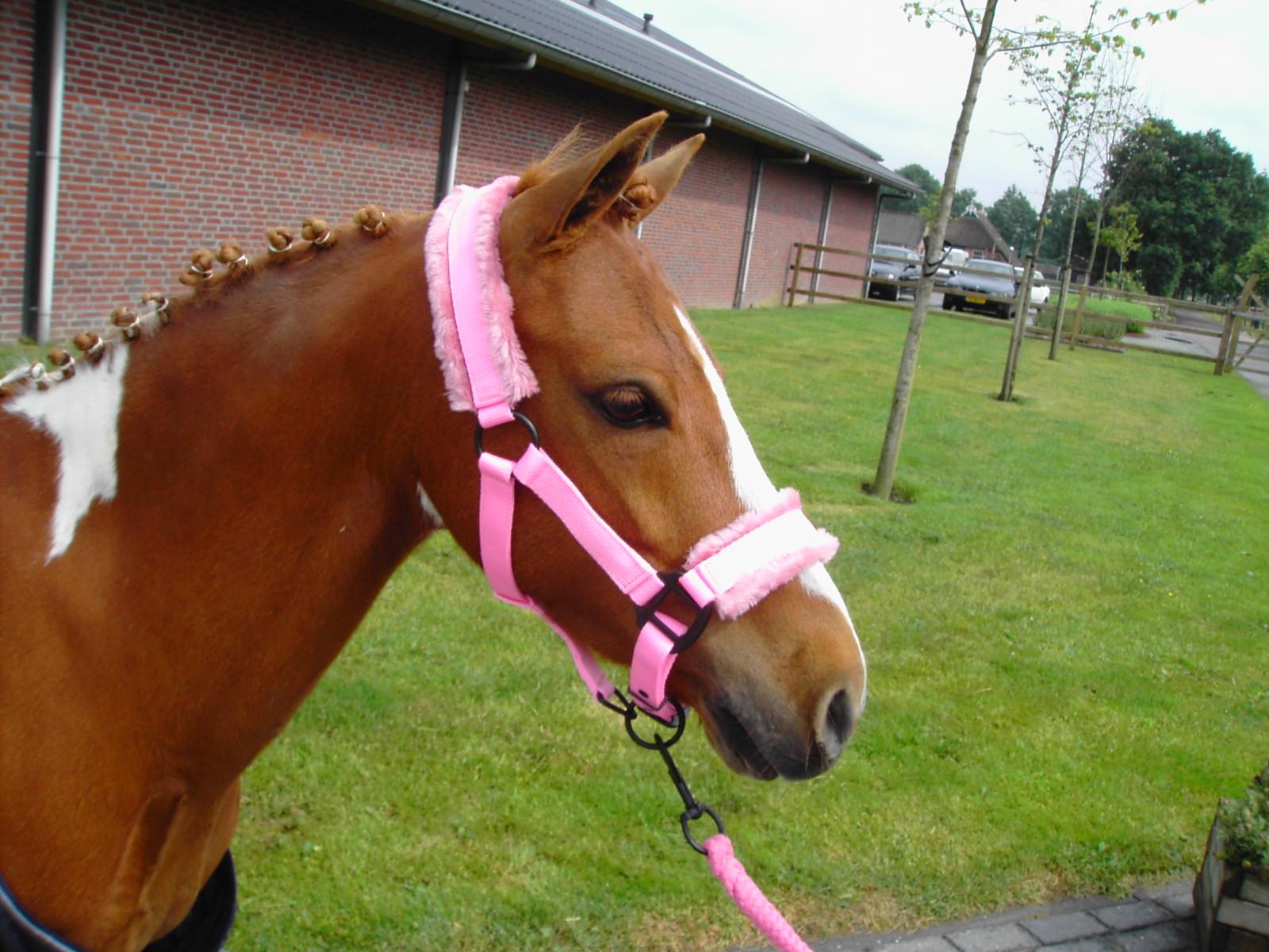 Nylongrimmor